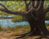 Ashby Oak